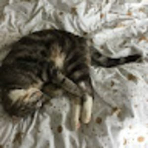 Meet your Posher, Natalie